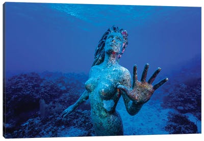 Underwater Mermaid Statue At Grand Cayman Island Canvas Art Print