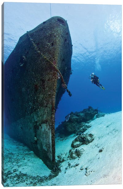 Diver Exploring The Felipe Xicotencatl Shipwreck In Cozumel, Mexico Canvas Art Print
