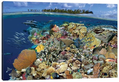 Digital Composite Of A Tropical Coral Reef Environment, Marshall Islands, Micronesia Canvas Art Print