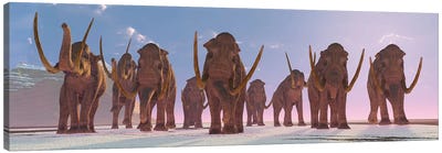 A Herd Of Columbian Mammoths Migrate To A Warmer Climate Canvas Art Print - Corey Ford