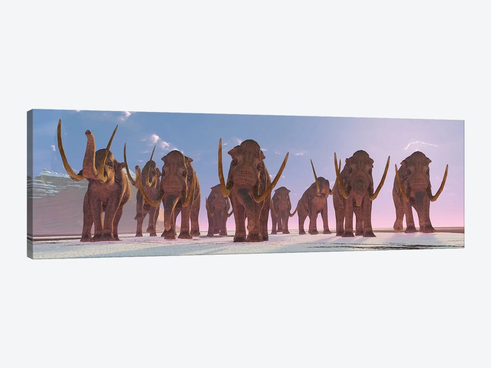 A Herd Of Columbian Mammoths Migrate To A Warmer Climate 1-piece Canvas Wall Art