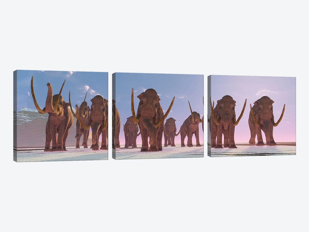 A Herd Of Columbian Mammoths Migrate To A Warmer Climate by Corey Ford 3-piece Canvas Artwork