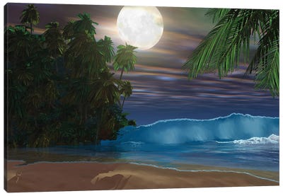 Moonlight Shines Down On The Beach During The Night Of A Full Moon Canvas Art Print - Corey Ford
