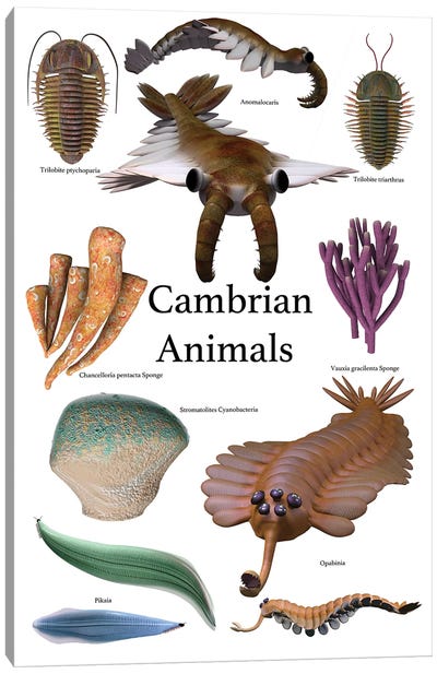 Poster Of Prehistoric Animals During The Cambrian Period Canvas Art Print - Franklin Delano Roosevelt