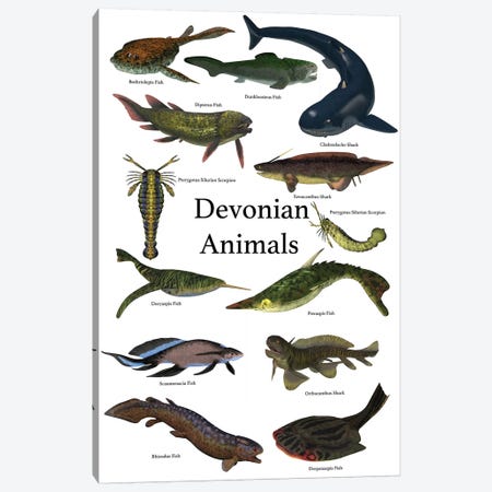 Poster Of Prehistoric Animals During The Devonian Period Canvas Print #TRK2318} by Corey Ford Canvas Art