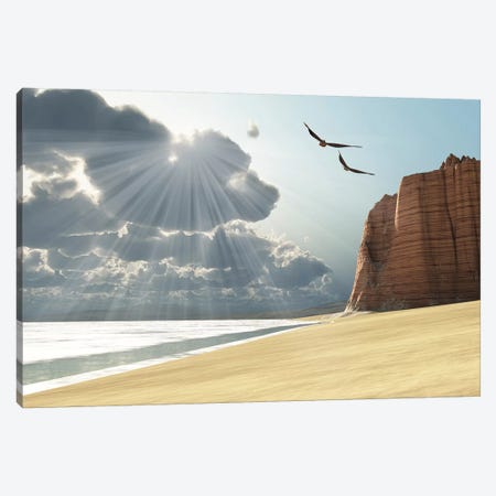 Sunlight Shines Down On Two Birds Flying Near A Cliff By The Ocean Canvas Print #TRK2330} by Corey Ford Canvas Artwork