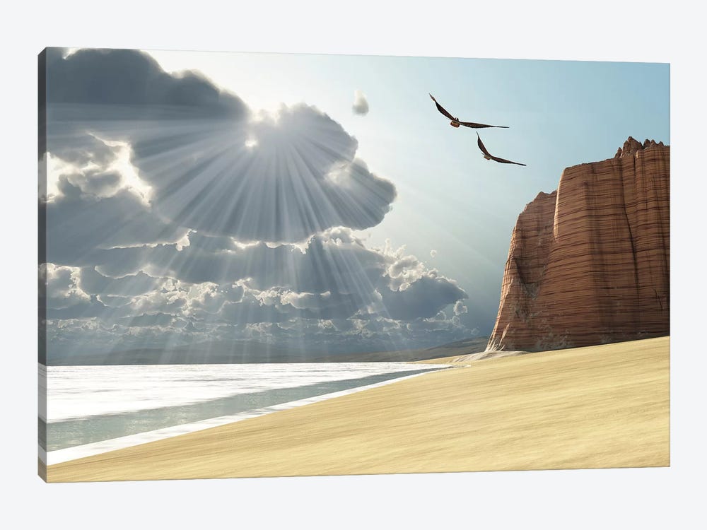 Sunlight Shines Down On Two Birds Flying Near A Cliff By The Ocean by Corey Ford 1-piece Canvas Wall Art