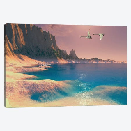 Two Mute Swans Fly Near A Seashore On Their Migration Route Canvas Print #TRK2357} by Corey Ford Art Print