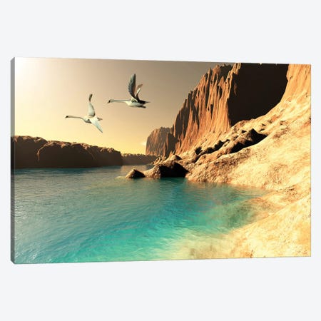 Two Mute Swans In Flight Canvas Print #TRK2358} by Corey Ford Canvas Art
