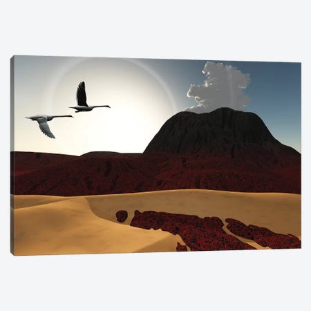 Two Swans Fly Over Cooling Lava Flows From A Recently Active Volcano Canvas Print #TRK2361} by Corey Ford Art Print