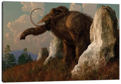 A Mammoth Standing Among Stones On A Hillside. Canvas Art Print - Prehistoric Animal Art