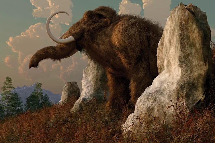 A Mammoth Standing Among Stones On A Hillside.