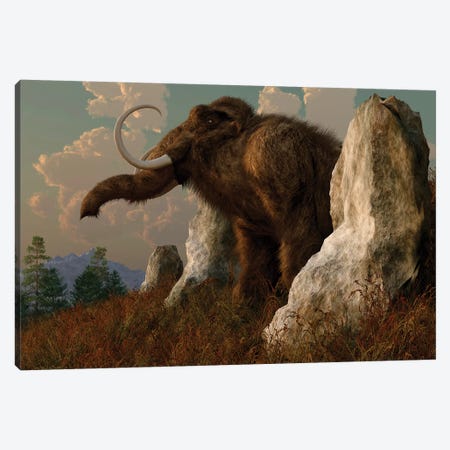 A Mammoth Standing Among Stones On A Hillside. Canvas Print #TRK2365} by Daniel Eskridge Canvas Artwork