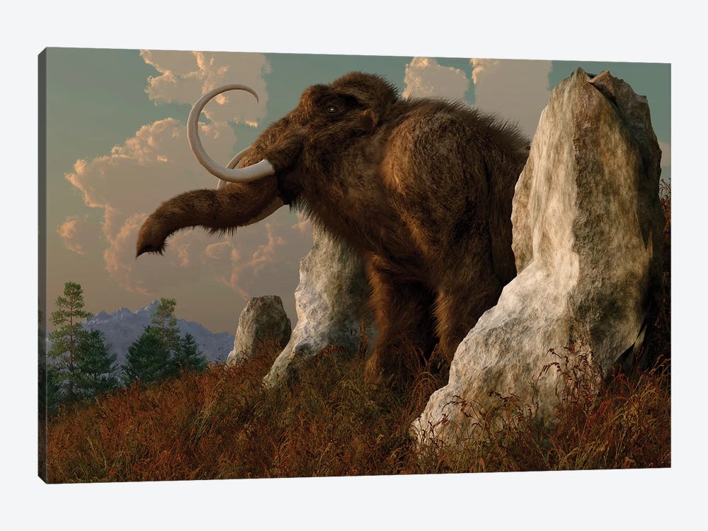 A Mammoth Standing Among Stones On A Hillside. by Daniel Eskridge 1-piece Canvas Wall Art