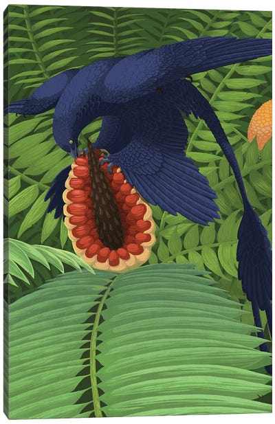 Microraptor Gui Snacking On A Cycad Fruit. Canvas Art Print