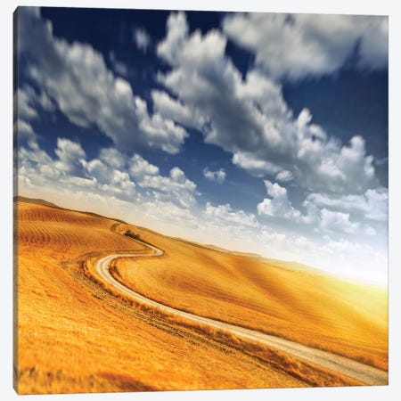 A Country Road In Field Against Moody Sky, Tuscany, Italy. Canvas Print #TRK2376} by Evgeny Kuklev Canvas Print