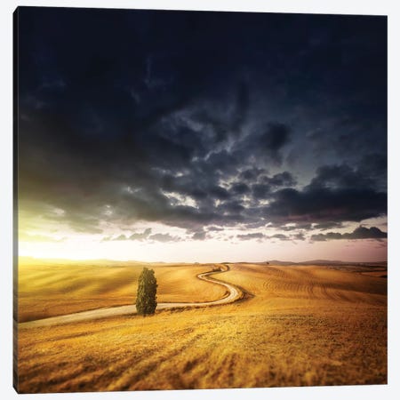 A Country Road In Field At Sunset Against Moody Sky, Tuscany, Italy. Canvas Print #TRK2378} by Evgeny Kuklev Canvas Art