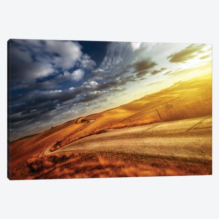 A Country Road In Field At Sunset Against Moody Sky, Tuscany, Italy. Canvas Print #TRK2379} by Evgeny Kuklev Canvas Wall Art