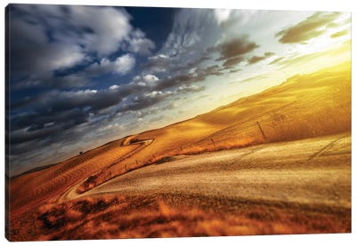 A Country Road In Field At Sunset Against Moody Sky, Tuscany, Italy. Canvas Art Print - Evgeny Kuklev