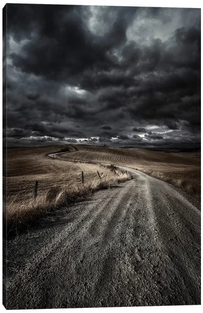 A Country Road In Field With Stormy Sky Above, Tuscany, Italy. Canvas Art Print - Stocktrek Images