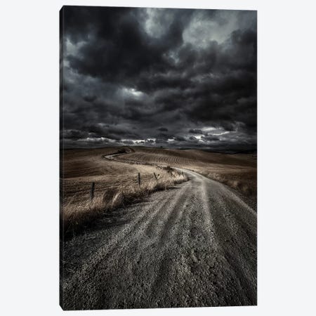 A Country Road In Field With Stormy Sky Above, Tuscany, Italy. Canvas Print #TRK2382} by Evgeny Kuklev Art Print