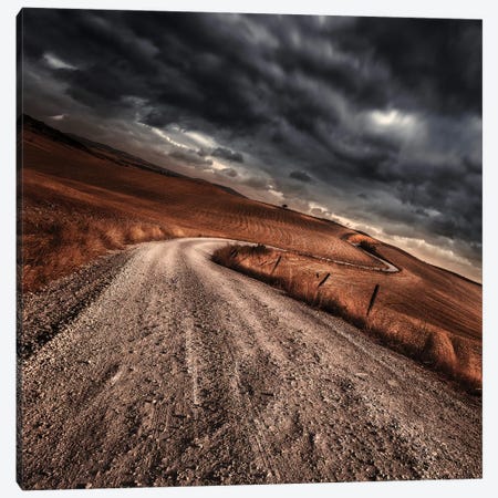 A Country Road In Field With Stormy Sky Above, Tuscany, Italy. Canvas Print #TRK2383} by Evgeny Kuklev Canvas Print