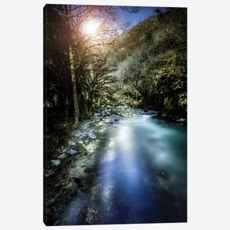 A River In A Forest At Sunset, Ritsa Nature Reserve, Abkhazia, Georgia. Canvas Print #TRK2391} by Evgeny Kuklev Canvas Artwork