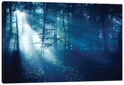 Misty Rays In A Dark Forest, Liselund Slotspark, Denmark. Canvas Art Print - Evgeny Kuklev