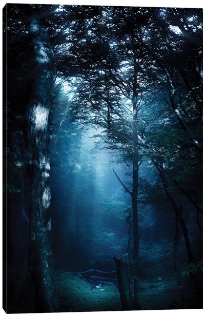 Misty Rays In A Dark Forest, Liselund Slotspark, Denmark. Canvas Art Print - Evgeny Kuklev