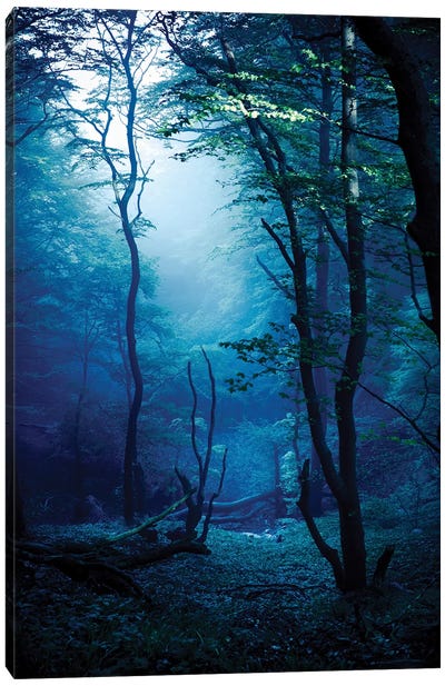 Misty, Dark Forest, Liselund Slotspark, Denmark. Canvas Art Print - Evgeny Kuklev