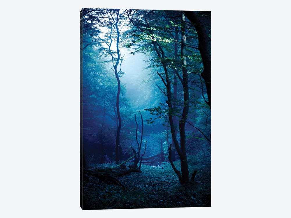 Misty, Dark Forest, Liselund Slotspark, Denmark. by Evgeny Kuklev 1-piece Canvas Artwork