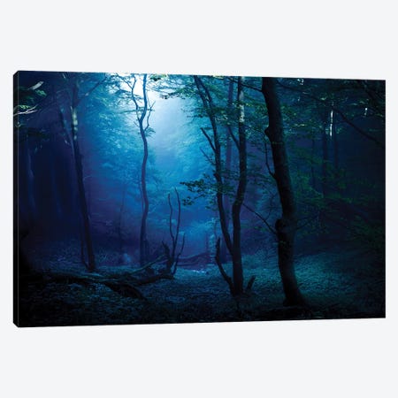 Misty, Dark Forest, Liselund Slotspark, Denmark. Canvas Print #TRK2472} by Evgeny Kuklev Art Print
