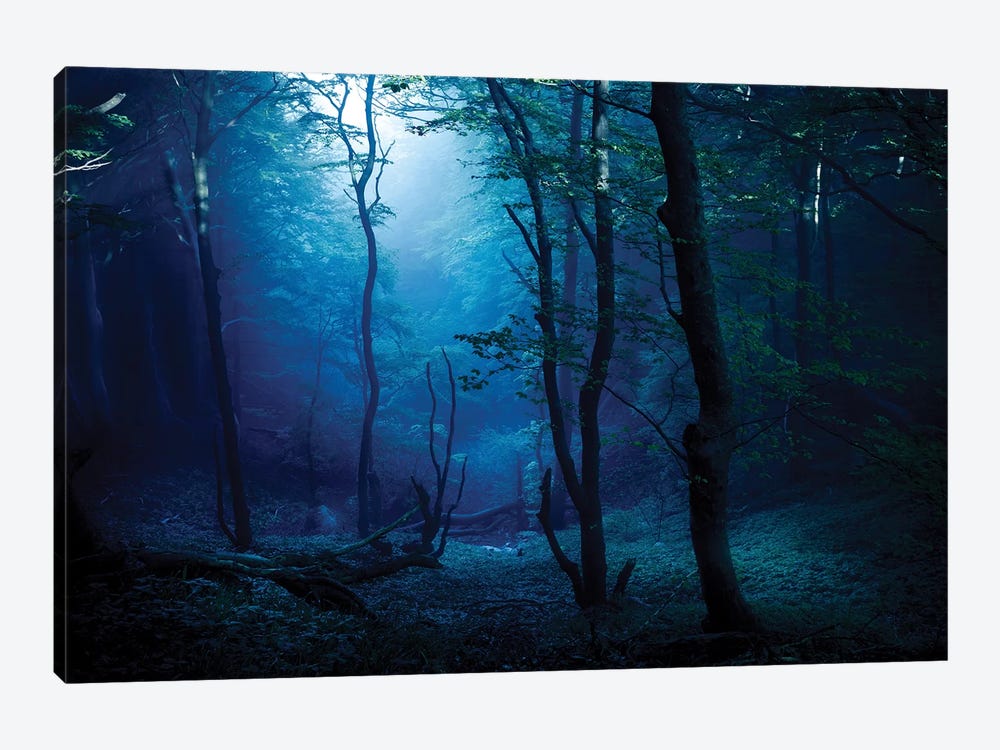 Misty, Dark Forest, Liselund Slotspark, Denmark. by Evgeny Kuklev 1-piece Art Print