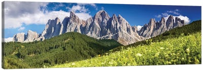 Panoramic View Of Dolomite Alps And Forest, Northern Italy. Canvas Art Print - Evgeny Kuklev
