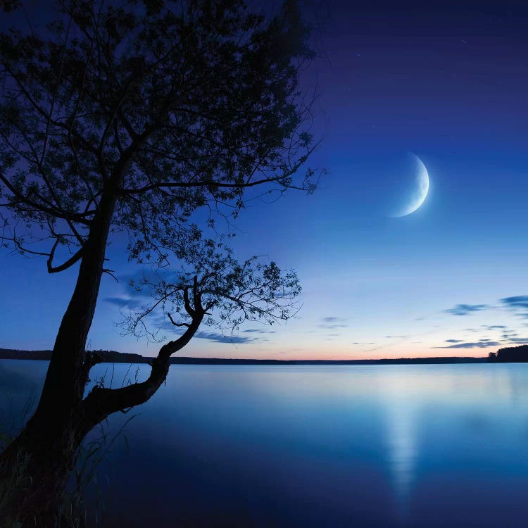 Silhouette Of A Lonely Tree In A Lake Against A Starry Sky And Moon