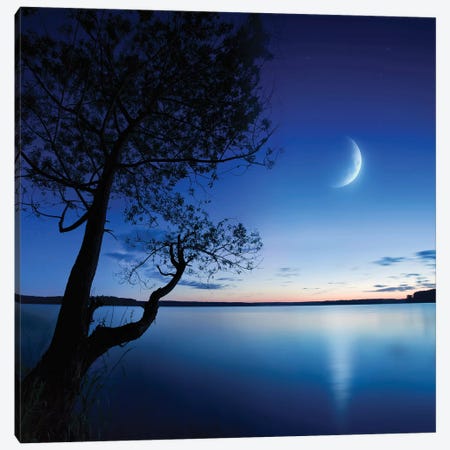 Silhouette Of A Lonely Tree In A Lake Against A Starry Sky And Moon Canvas Print #TRK2530} by Evgeny Kuklev Canvas Artwork