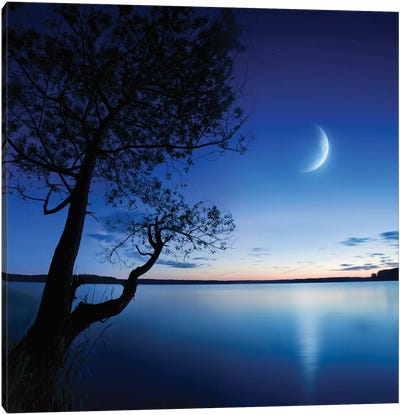 Silhouette Of A Lonely Tree In A Lake Against A Starry Sky And Moon Canvas Art Print - Evgeny Kuklev