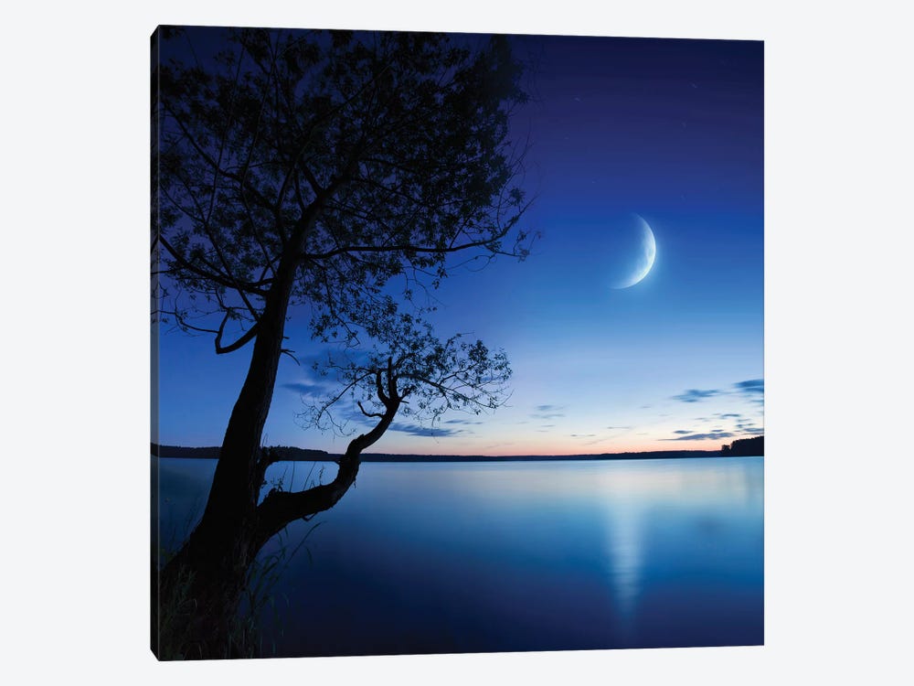 Silhouette Of A Lonely Tree In A Lake Against A Starry Sky And Moon by Evgeny Kuklev 1-piece Canvas Art