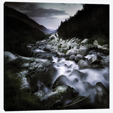 Small River Flowing Over Large Stones In The Mountains Of Pirin National Park, Bulgaria Canvas Print #TRK2539} by Evgeny Kuklev Canvas Art