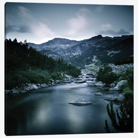 Small River In The Mountains Of Pirin National Park, Bansko, Bulgaria Canvas Print #TRK2547} by Evgeny Kuklev Canvas Wall Art