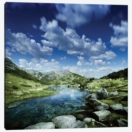 Small Stream In The Mountains Of Pirin National Park, Bansko, Bulgaria Canvas Print #TRK2557} by Evgeny Kuklev Canvas Art Print