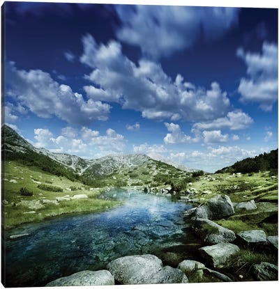 Small Stream In The Mountains Of Pirin National Park, Bansko, Bulgaria Canvas Art Print - Evgeny Kuklev