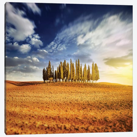 Sunset In A Golden Field With A Row Of Cypress Trees, Italy, Tuscany Canvas Print #TRK2561} by Evgeny Kuklev Art Print