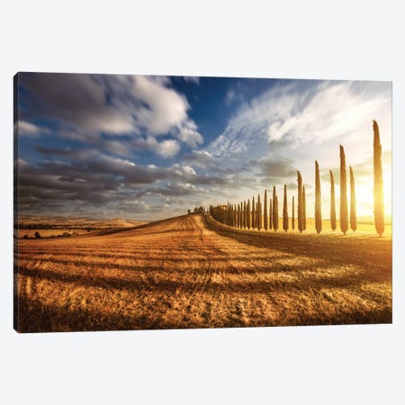 Sunset In A Golden Field With An Alley Of Cypress Trees, Tuscany, Italy Canvas Print #TRK2562} by Evgeny Kuklev Canvas Art Print