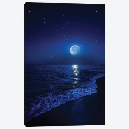 Tranquil Ocean At Night Against Starry Sky And Moon Canvas Print #TRK2579} by Evgeny Kuklev Canvas Art