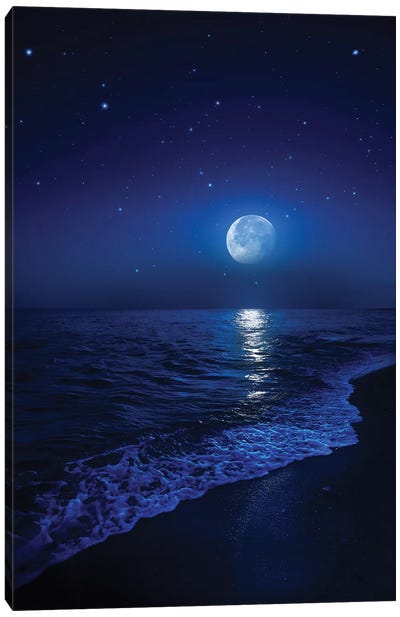 Tranquil Ocean At Night Against Starry Sky And Moon Canvas Art Print - Sandy Beach Art