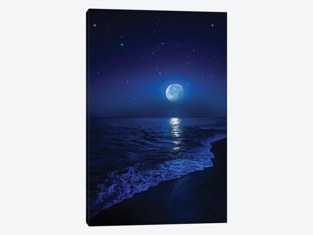 Tranquil Ocean At Night Against Starry Sky And Moon by Evgeny Kuklev 1-piece Canvas Art Print