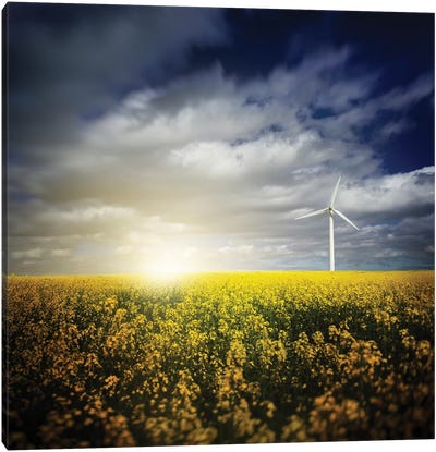 Wind Turbine In A Canola Field Against Cloudy Sky At Sunset, Denmark Canvas Art Print - Evgeny Kuklev