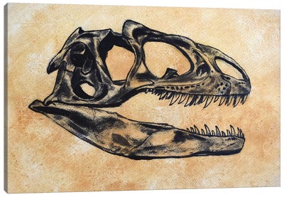 Allosaurus Dinosaur Skull Canvas Art Print