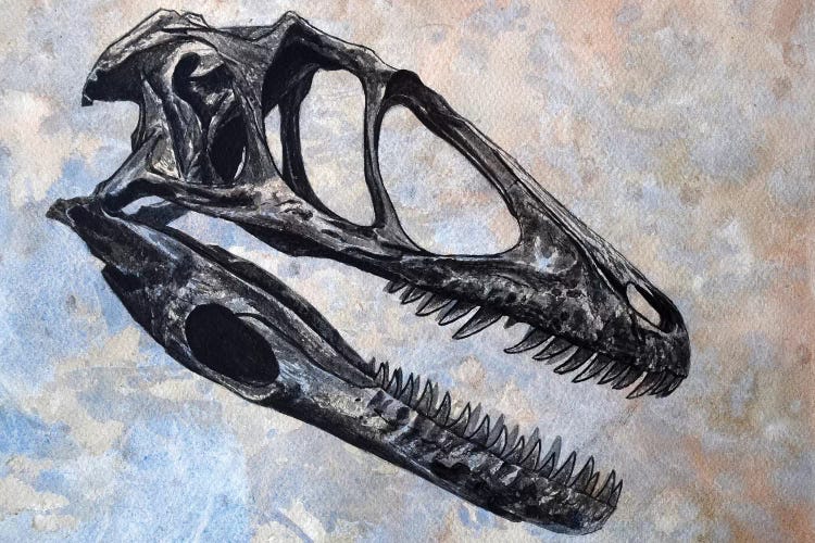 Deinonychus Dinosaur Skull